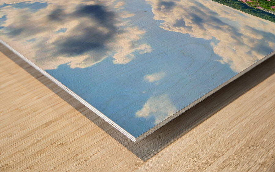 Swamp Mallow At Moraine State Park Wood print