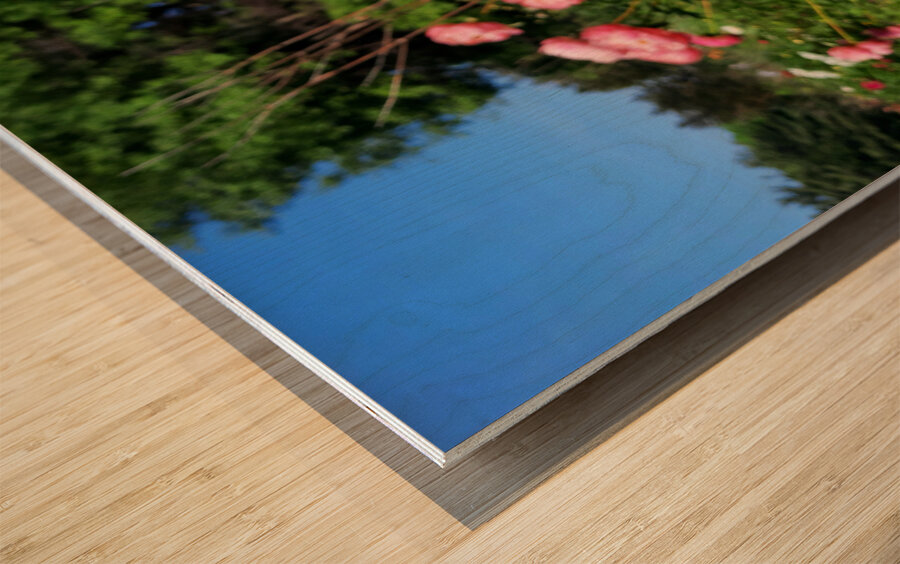 Salmon Peony Row Wood print