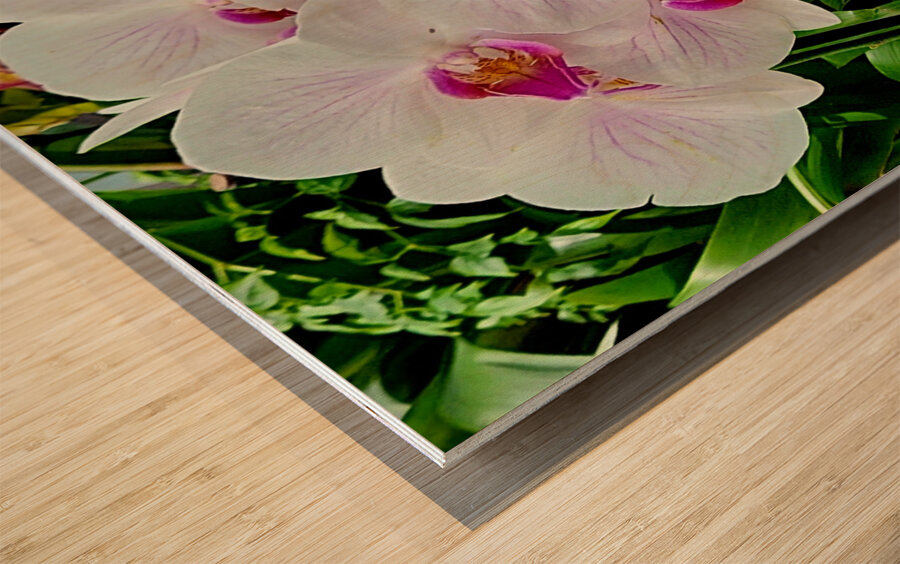 Orchid Cluster Wood print