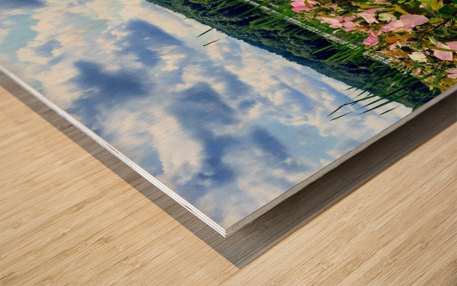 Swamp Mallow At Moraine State Park Wood print