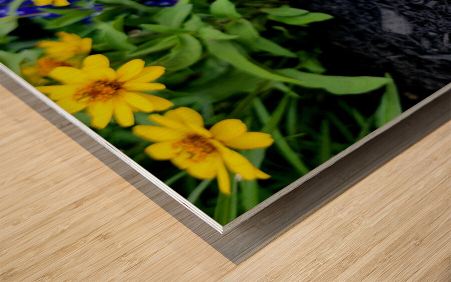 VT Peony 1 Wood print