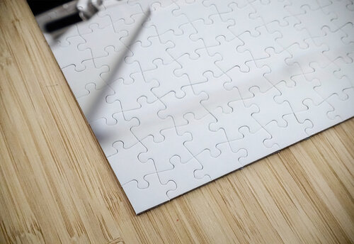 Dirty with printing dust from toner open paper tray on the vintage laser printer Adrian H  puzzle