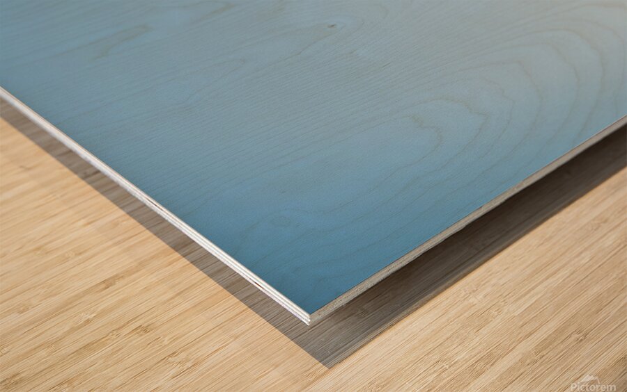 Rooftop steam pipe on cold winter Wood print