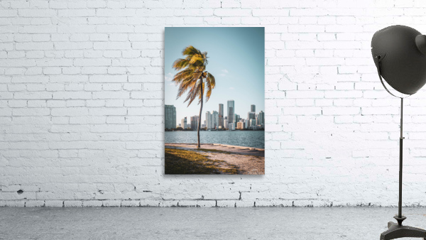 Miami’s Palm Tree 2 Wall Preview