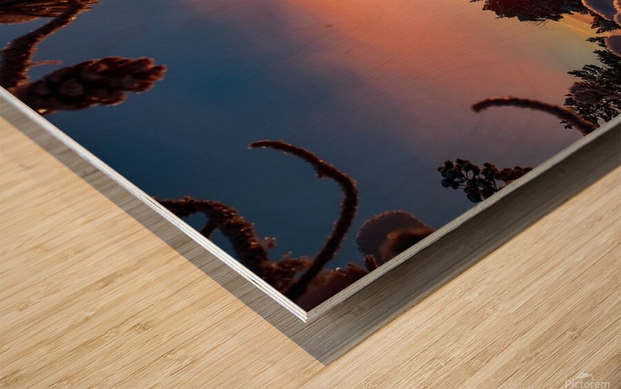 hdoaa.com D8 B5 D9 88 D8 B1 D8 AC D9 85 D9 8A D9 Wood print