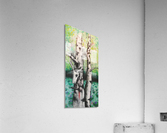 Birch Tree and Skull Acrylic Print