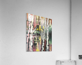The Nix  Acrylic Print