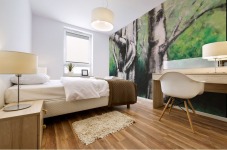 Birch Tree and Skull Mural print