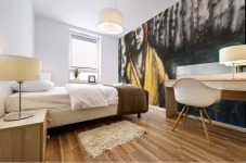 Lapland  Mural print