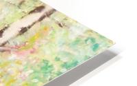 Birch Tree and Skull HD Metal print
