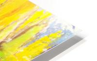 Central Park HD Metal print