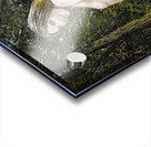 Arcadian Acrylic print