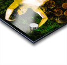 Barkbound Acrylic print