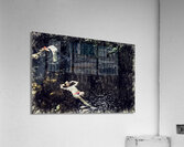 Tranquil Passage   Acrylic Print