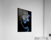 Veiled Affection Acrylic Print
