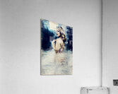 Dreamlike Grace Acrylic Print