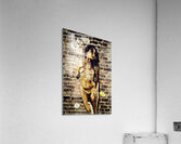 Vintage Grace Acrylic Print