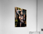 Scripted Wings Acrylic Print