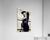 Embrace Acrylic Print
