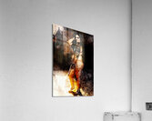Veiled Shadowed Acrylic Print
