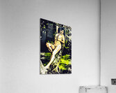 Earthbound Serenity Acrylic Print