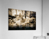 Ephemeral Shadows Acrylic Print
