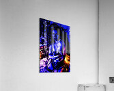 Enigmatic Acrylic Print