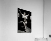 Shadowed Acrylic Print