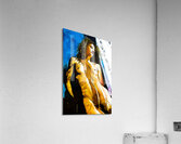 Silhouette Acrylic Print