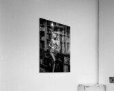 Shadowplay   Acrylic Print