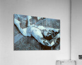 Blue Dream Acrylic Print