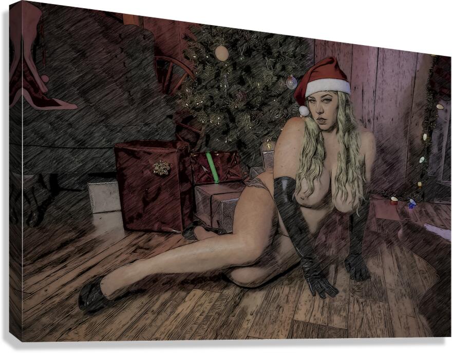 Christmas Veil Canvas Print
