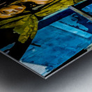 City Glow Metal print