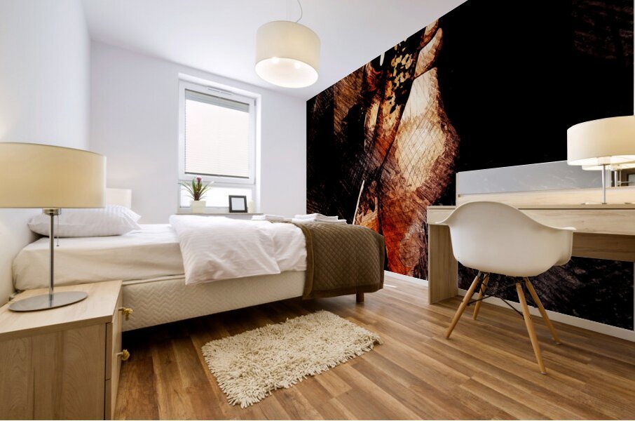 Veiled Shadowed Mural print