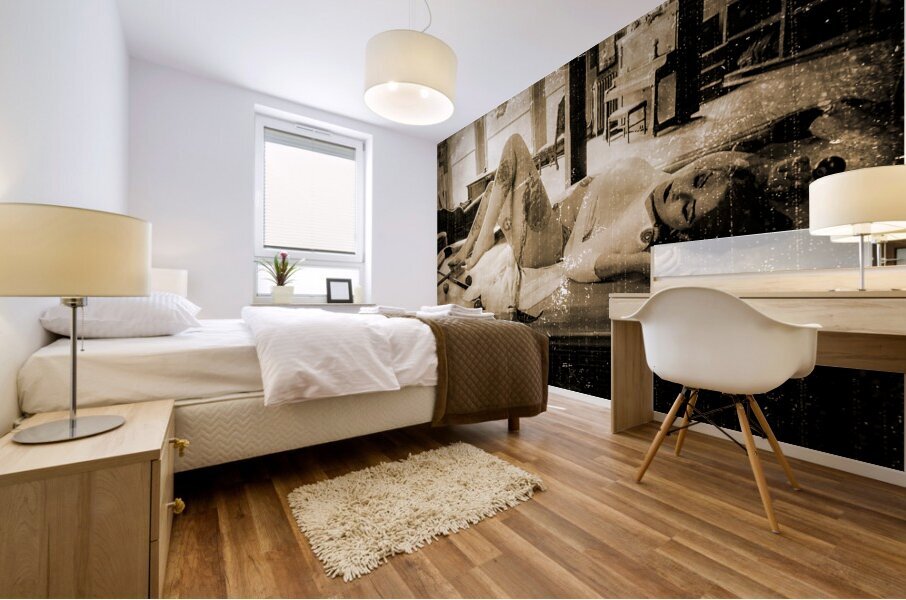 Ephemeral Shadows Mural print