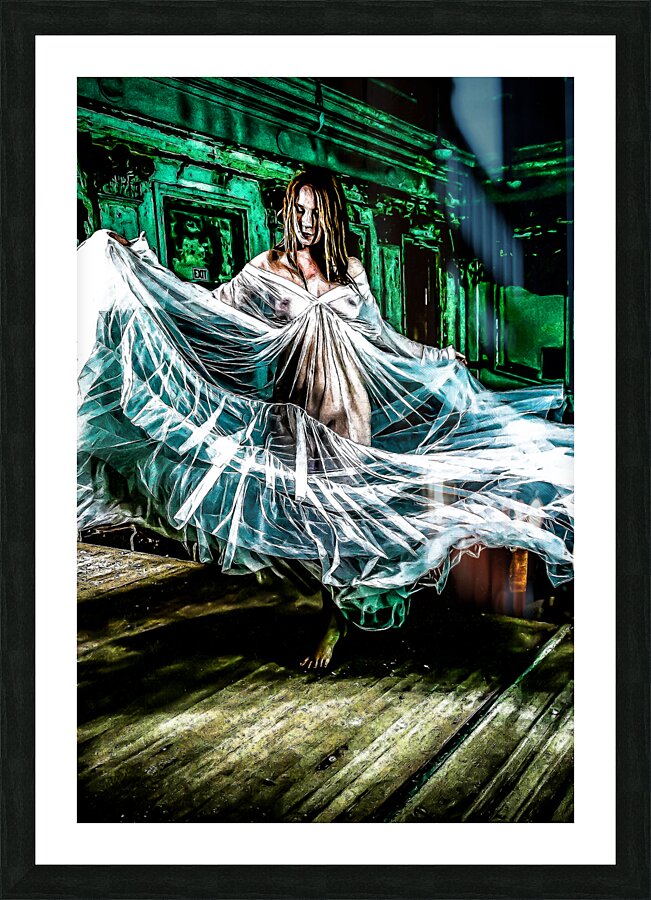 Veiled Journey Picture Frame print