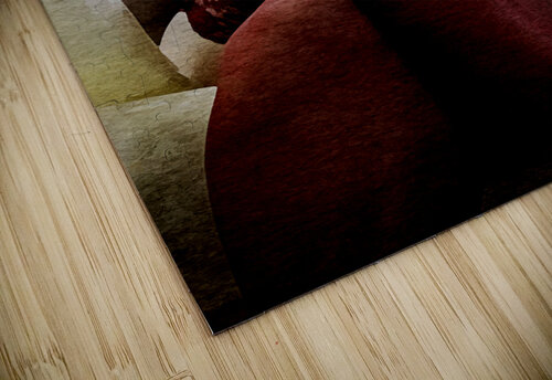 Contemplative Scarlet Holley s Digital Artwork puzzle