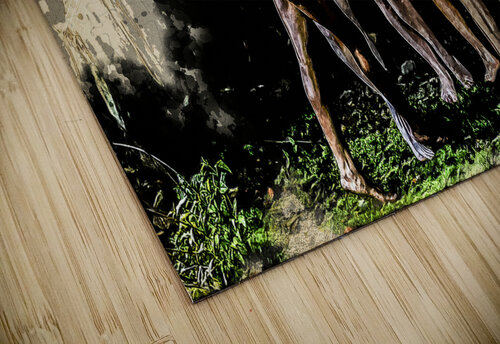 Light and Form Holley s Digital Artwork puzzle