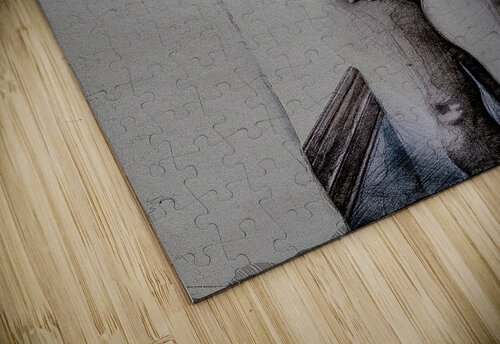 Shadowed Grace Holley s Digital Artwork puzzle
