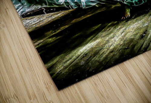 Veiled Journey Holley s Digital Artwork puzzle