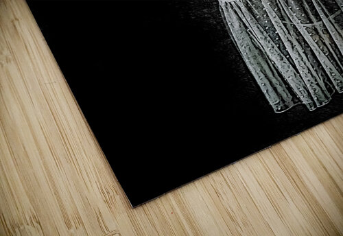 Eclipsed Holley s Digital Artwork puzzle
