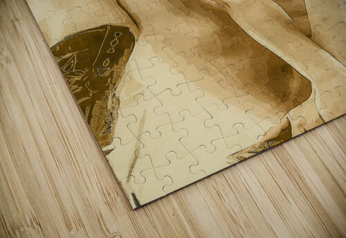 Rustica Holley s Digital Artwork puzzle