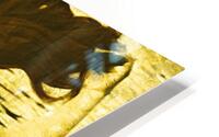Dreamlike Radiance  HD Metal print
