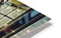 Ethereal Reflection HD Metal print