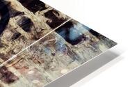 Vintage Grace HD Metal print