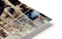 Vintage Grace HD Metal print