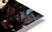 Veiled Shadowed HD Metal print