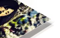 Earthbound Serenity HD Metal print