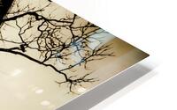 Shadows HD Metal print