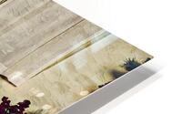 Timeless Beauty HD Metal print